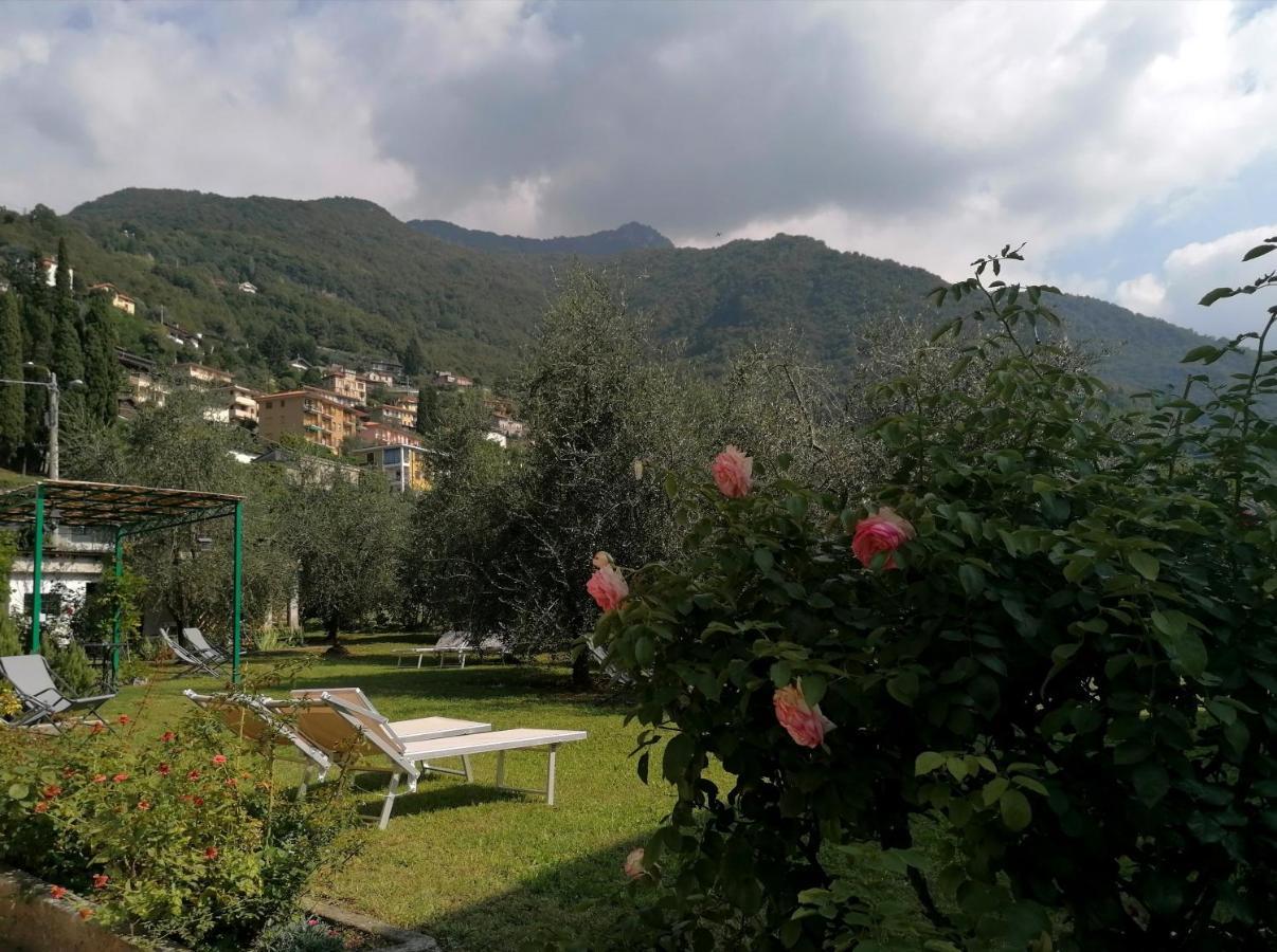 Agriturismo Conca Sandra - Farm Stay On Lake Como Perledo Exterior foto